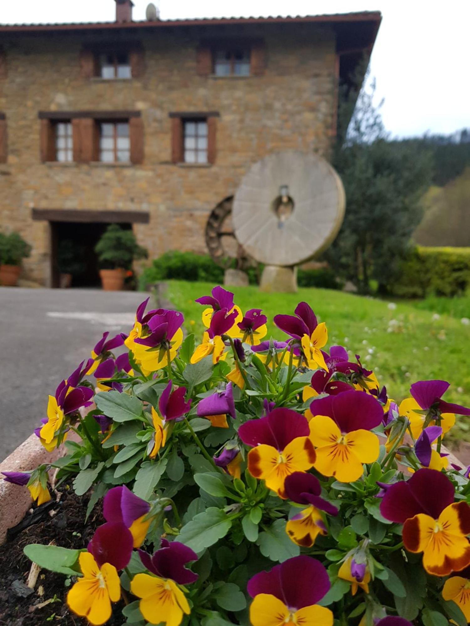 Iberreko Errota Farm stay *